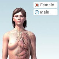 BodyMaps app launched