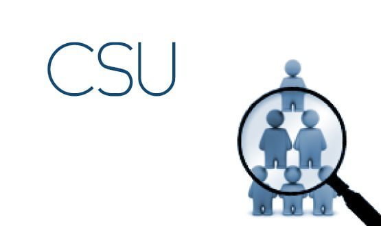 Nine CSUs reach final stage of framework