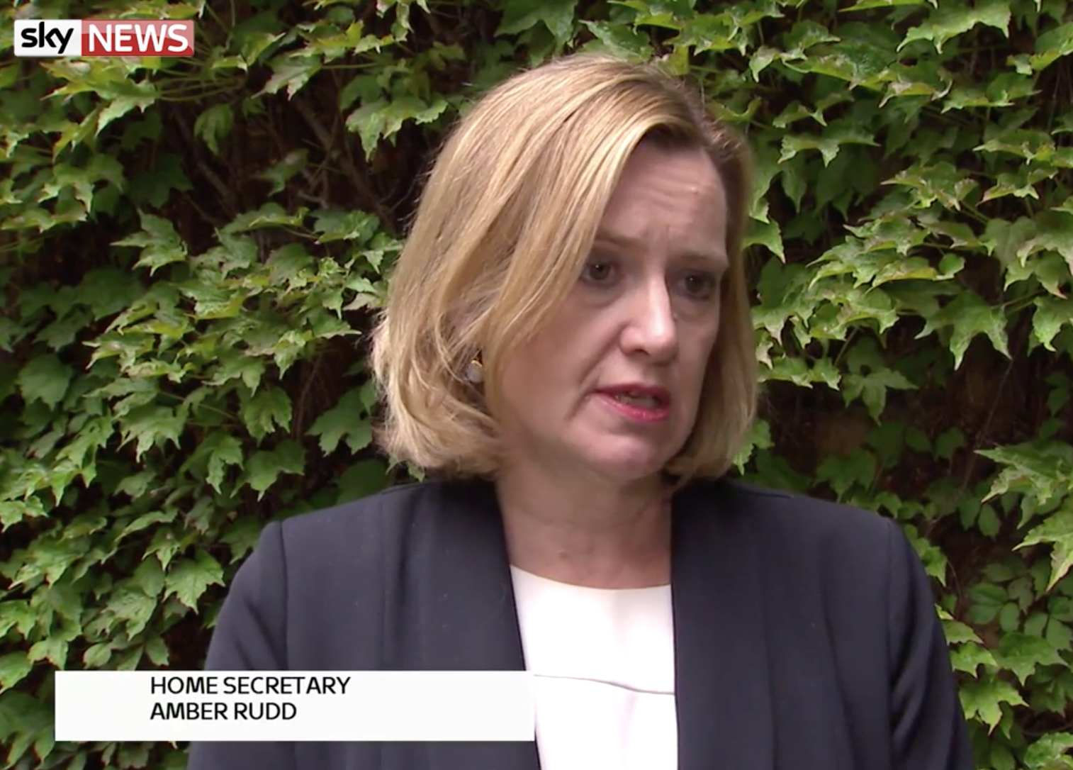 Home Secretary Amber Rudd has lead givernment's response to cyber attacks