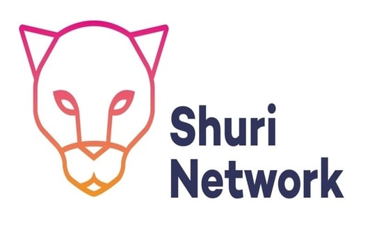 Shuri Network named Network of the Year at 2020 TechWomen100 awards